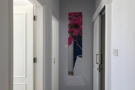 Kings Palace - Superb 2 Bed Ground Floor Apartment Paphos Exterior foto